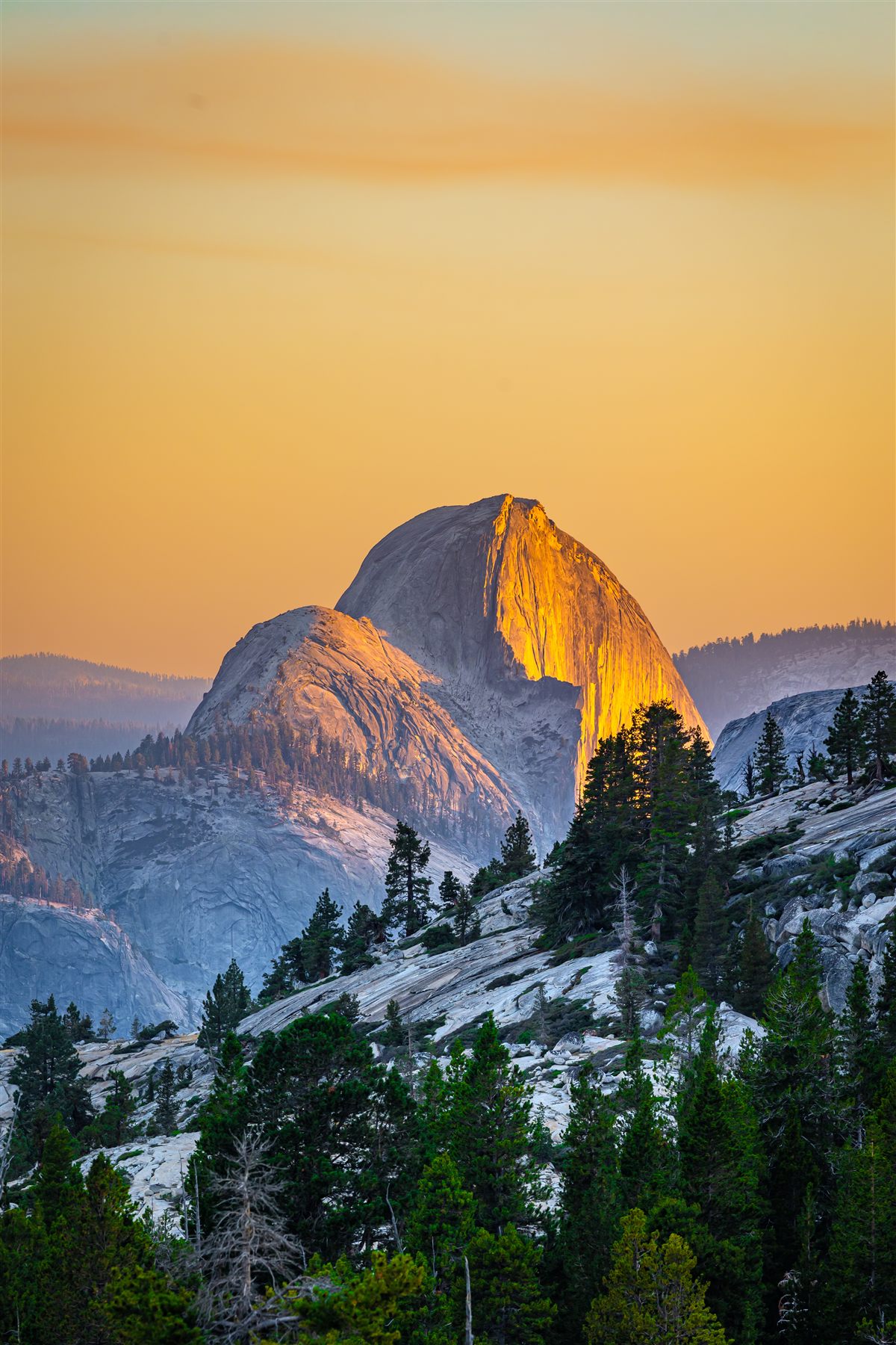 Half Dome Golden Light Print